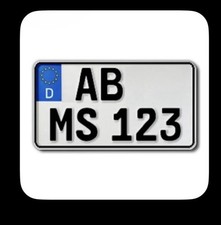 1 Kennzeichen | 240 x 130 mm |