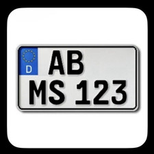 1 Kennzeichen | 240 x 130 mm |