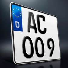 1 Kennzeichen | 250 x 200 mm |